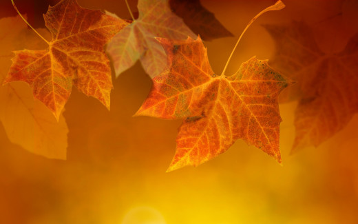 919326 (a): :2880x1800